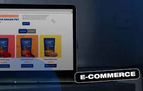 Digital Zoopedia – Premier Web Design Company in Selangor